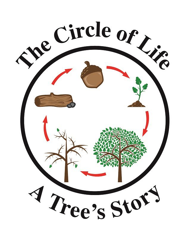 Circle of Life Tree's Story small